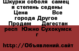 Шкурки соболя (самец) 1-я степень седены › Цена ­ 12 000 - Все города Другое » Продам   . Дагестан респ.,Южно-Сухокумск г.